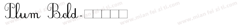 Plum Bold字体转换